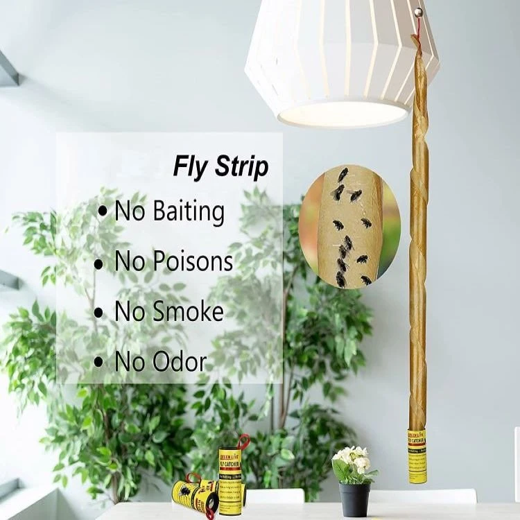 mosquito roll trap